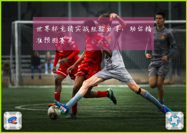 世界杯竞猜实战经验分享，助你精准预测赛果