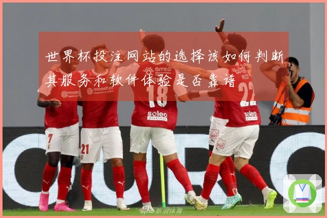 世界杯投注网站的选择该如何判断其服务和软件体验是否靠谱