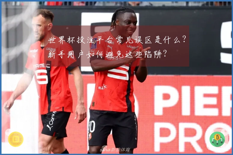 世界杯投注平台常见误区是什么？新手用户如何避免这些陷阱？