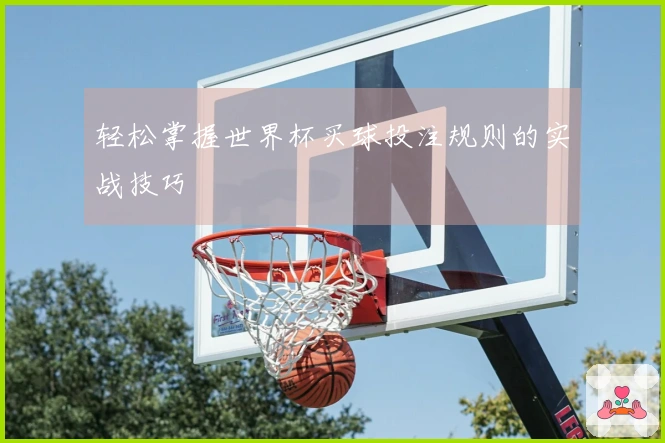 轻松掌握世界杯买球投注规则的实战技巧