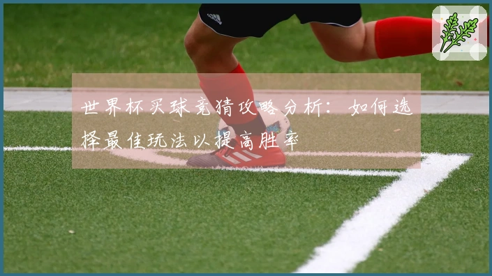世界杯买球竞猜攻略分析：如何选择最佳玩法以提高胜率