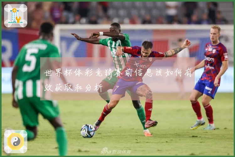 世界杯体彩竞猜赛前信息该如何有效获取和分析