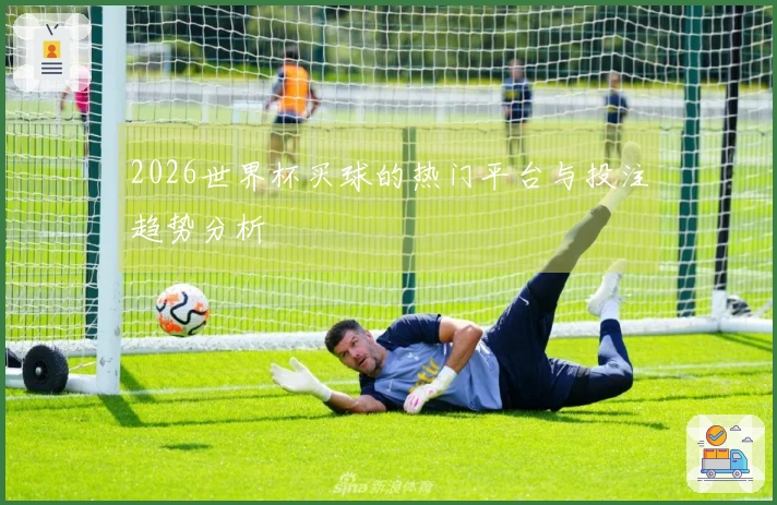 2026世界杯买球的热门平台与投注趋势分析