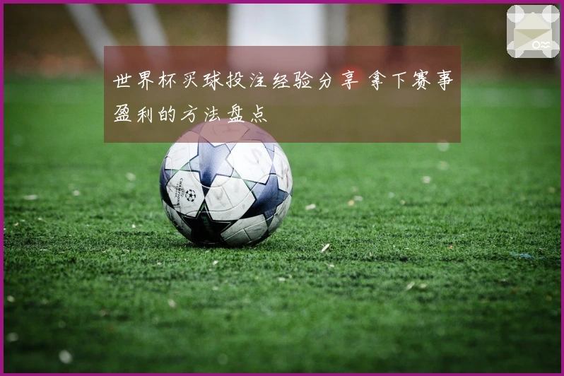 世界杯买球投注经验分享 拿下赛事盈利的方法盘点