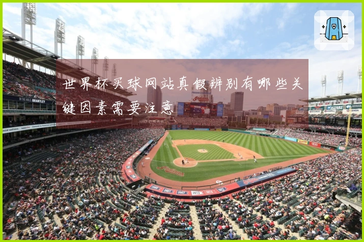世界杯买球网站真假辨别有哪些关键因素需要注意