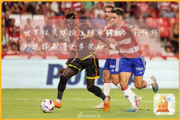 世界杯买球投注赔率解析：如何巧妙选择赢得更多奖励