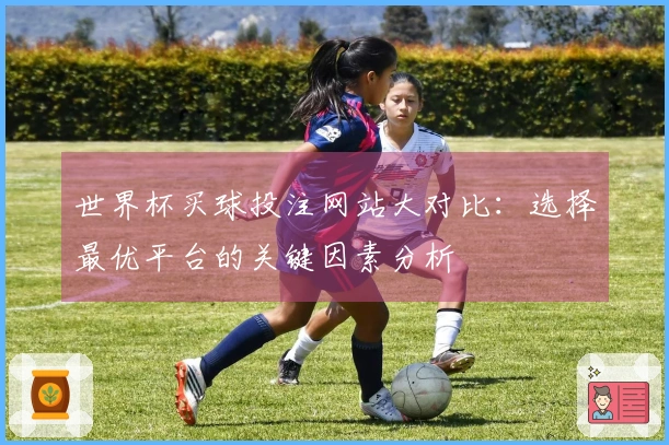 世界杯买球投注网站大对比：选择最优平台的关键因素分析