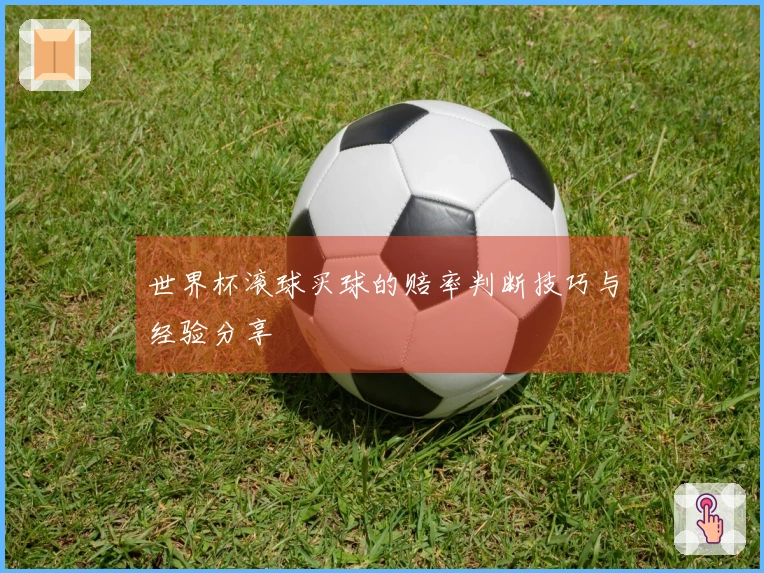 世界杯滚球买球的赔率判断技巧与经验分享