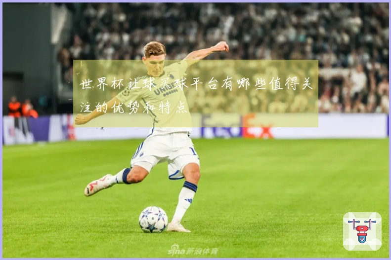 世界杯让球买球平台有哪些值得关注的优势和特点
