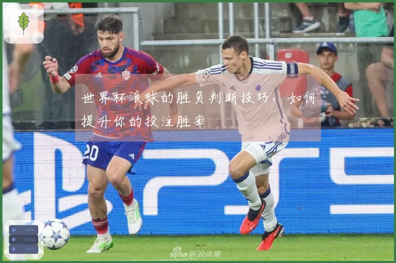 世界杯滚球的胜负判断技巧，如何提升你的投注胜率