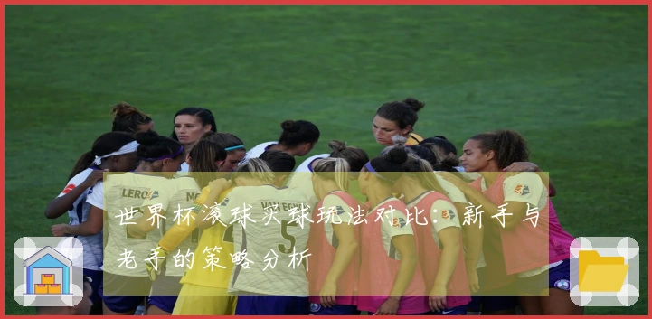 世界杯滚球买球玩法对比：新手与老手的策略分析