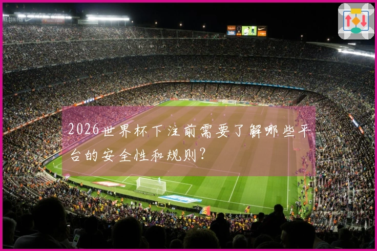 2026世界杯下注前需要了解哪些平台的安全性和规则？