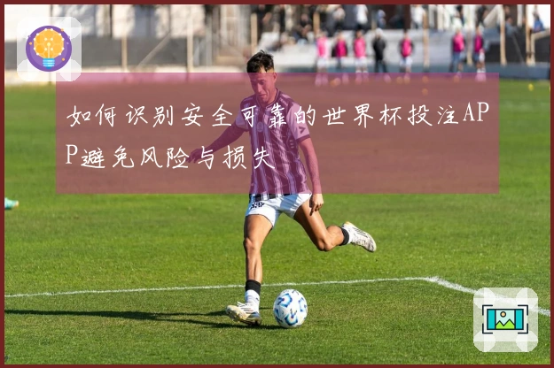 如何识别安全可靠的世界杯投注APP避免风险与损失