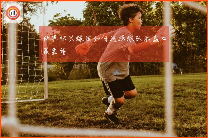 世界杯买球该如何选择球队和盘口最靠谱