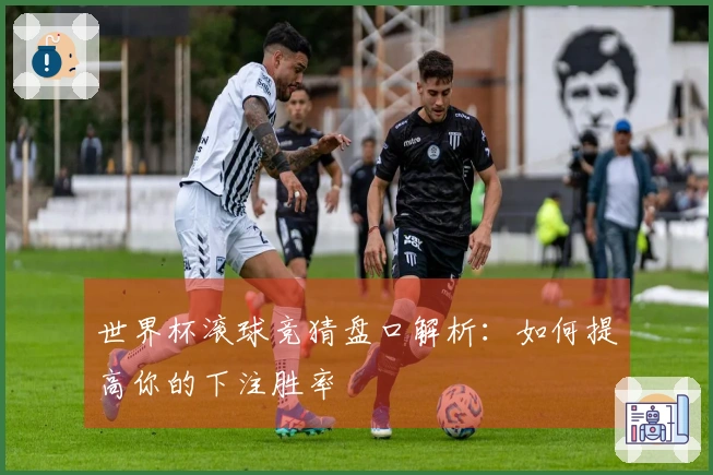 世界杯滚球竞猜盘口解析：如何提高你的下注胜率