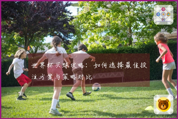 世界杯买球攻略：如何选择最佳投注方案与策略对比