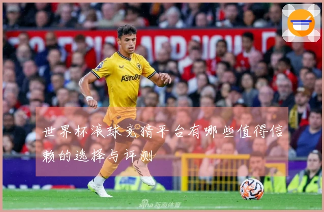 世界杯滚球竞猜平台有哪些值得信赖的选择与评测