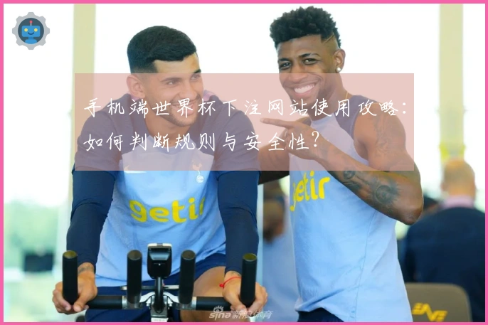 手机端世界杯下注网站使用攻略：如何判断规则与安全性？