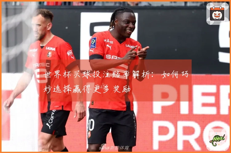 世界杯买球投注赔率解析：如何巧妙选择赢得更多奖励