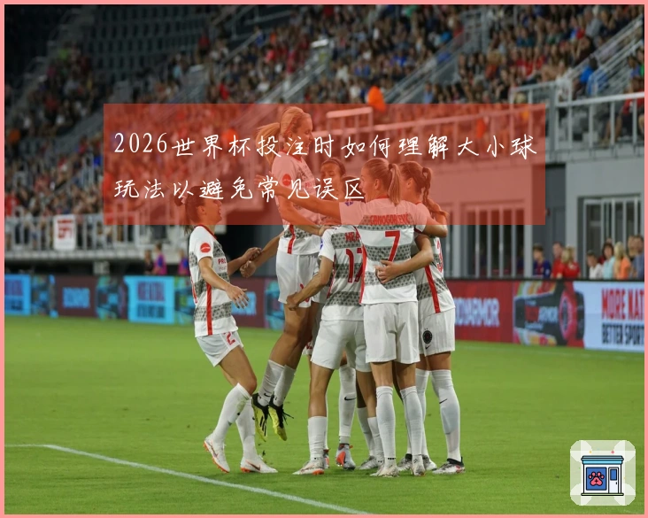 2026世界杯投注时如何理解大小球玩法以避免常见误区