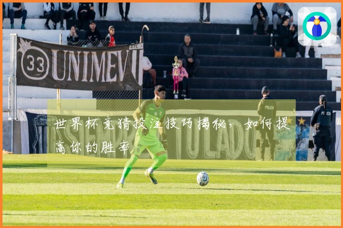 世界杯竞猜投注技巧揭秘，如何提高你的胜率