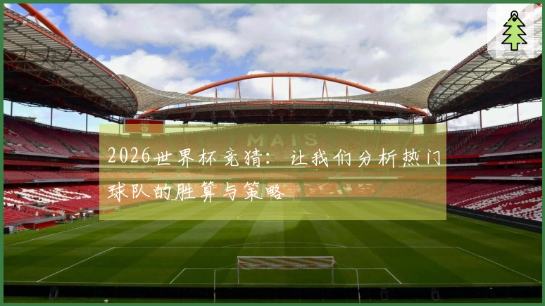 2026世界杯竞猜：让我们分析热门球队的胜算与策略