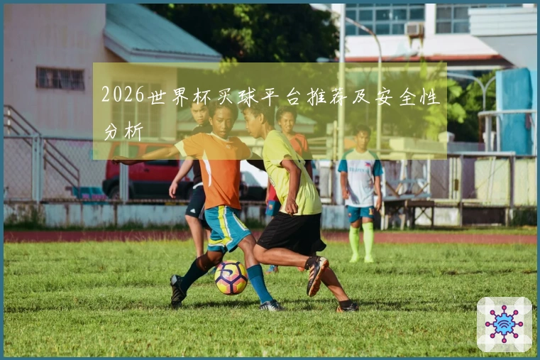 2026世界杯买球平台推荐及安全性分析