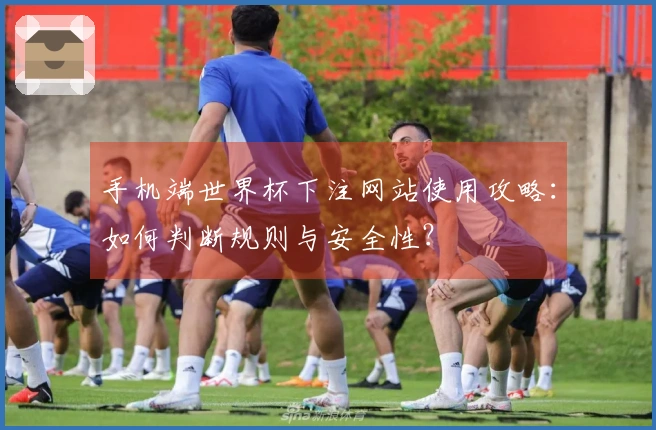 手机端世界杯下注网站使用攻略：如何判断规则与安全性？