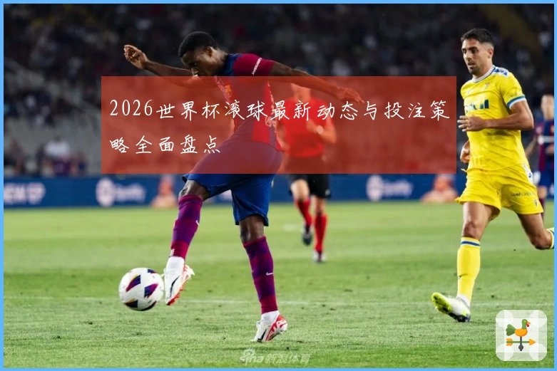 2026世界杯滚球最新动态与投注策略全面盘点