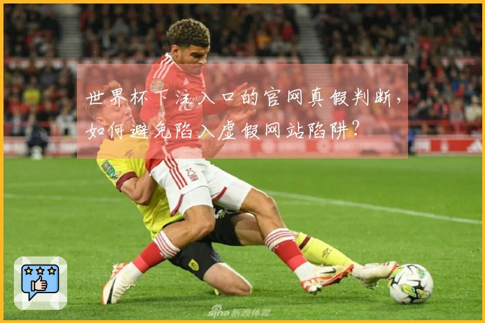 世界杯下注入口的官网真假判断，如何避免陷入虚假网站陷阱？